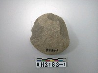 藏品(中砝碼型石網墜)的圖片